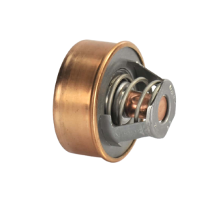 Thermostaat Peugeot Indenor 7910007299