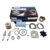Suzuki servicekit DF9.9B-DF15A-DF20A (vanaf 2013 tot heden) 17400-89812
