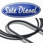Sole v-Snaar 13221028
