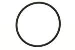 Honda O-ring fuel filter 16073-ZZ5-003