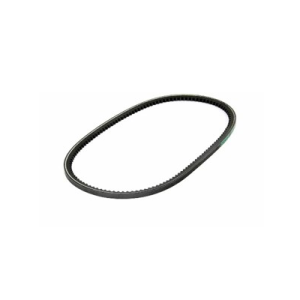 Lombardini V-snaar LDW2204MT 2440453