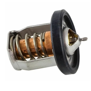 Suzuki thermostaat 42gr 17670-91J22