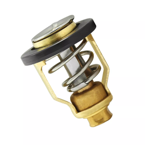 Suzuki thermostaat 60° 17670-90J00